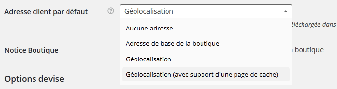 geolocalisation-cache